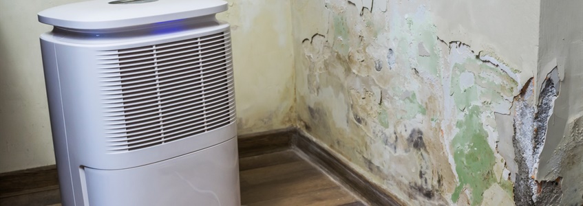 Vermijd deze veel gemaakte fouten bij muurinjectie door doe-het-zelvers