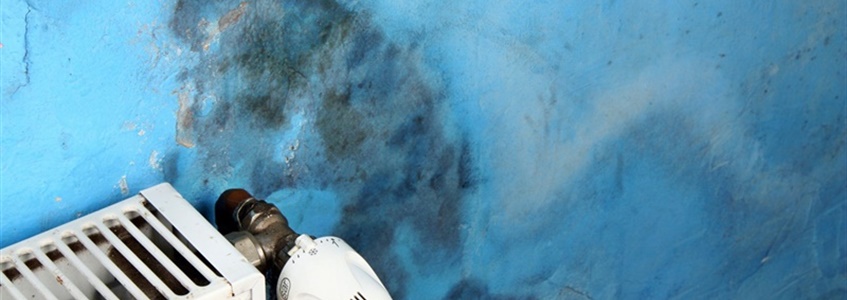 Vocht in een vrijstaande woning? Wat nu?