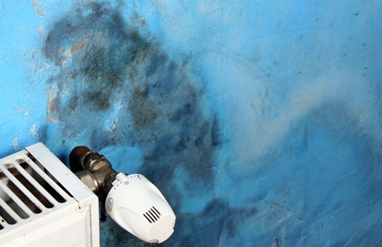 Vocht in een vrijstaande woning? Wat nu?