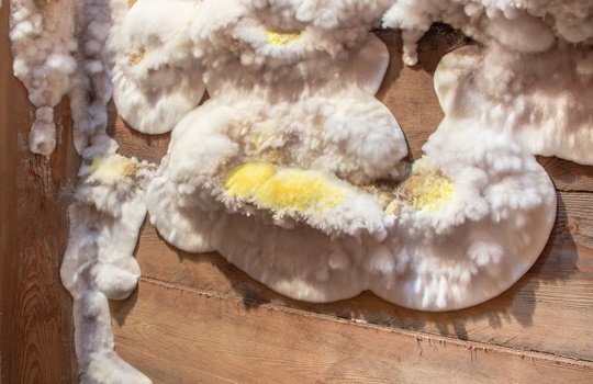 Witte harige schimmel op muren en plafonds: oorzaak en oplossing
