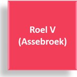 Roel V